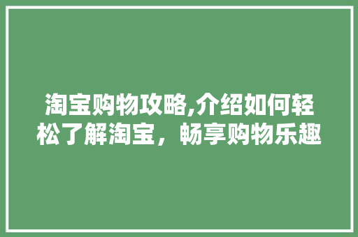 淘宝购物攻略,介绍如何轻松了解淘宝，畅享购物乐趣 建站教程