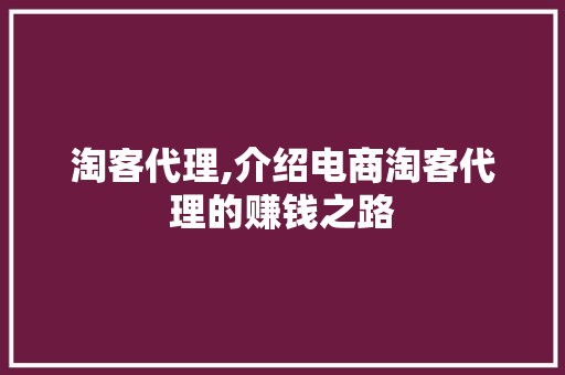 淘客代理,介绍电商淘客代理的赚钱之路