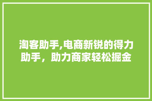 淘客助手,电商新锐的得力助手，助力商家轻松掘金