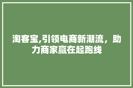 淘客宝,引领电商新潮流，助力商家赢在起跑线 服务器/数据库