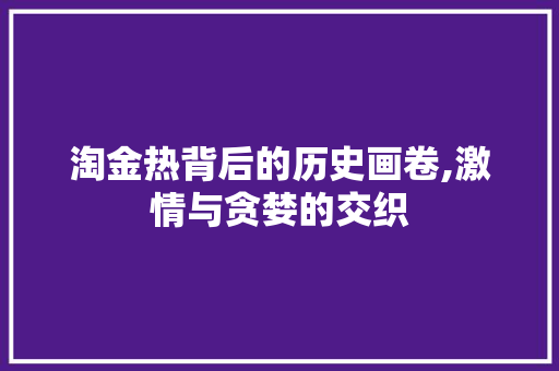 淘金热背后的历史画卷,激情与贪婪的交织