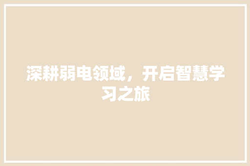 深耕弱电领域，开启智慧学习之旅 WordPress教程