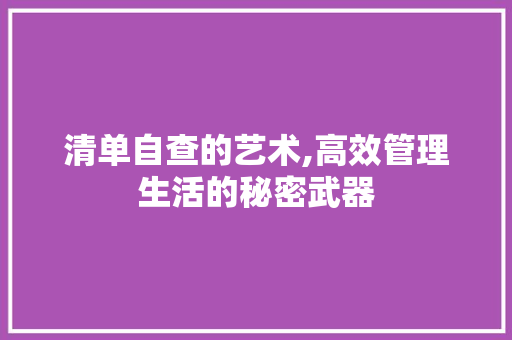 清单自查的艺术,高效管理生活的秘密武器
