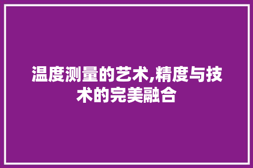 温度测量的艺术,精度与技术的完美融合