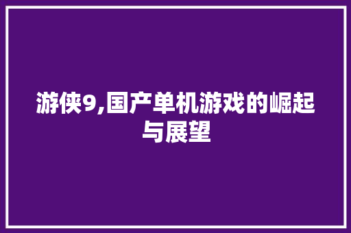游侠9,国产单机游戏的崛起与展望