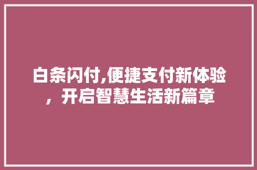 白条闪付,便捷支付新体验，开启智慧生活新篇章