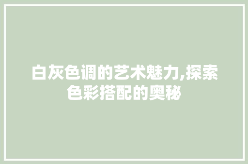 白灰色调的艺术魅力,探索色彩搭配的奥秘