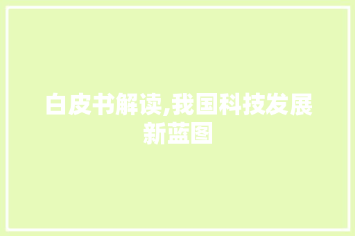 白皮书解读,我国科技发展新蓝图