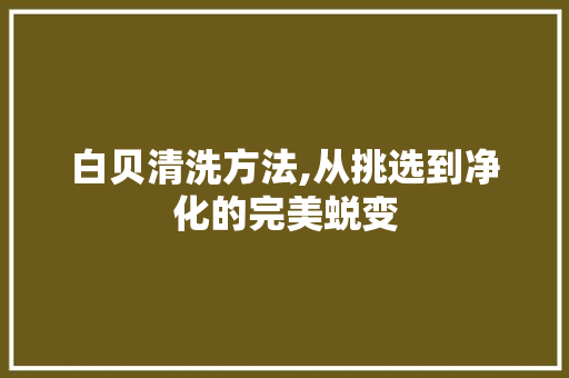 白贝清洗方法,从挑选到净化的完美蜕变