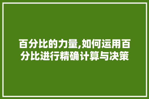 百分比的力量,如何运用百分比进行精确计算与决策