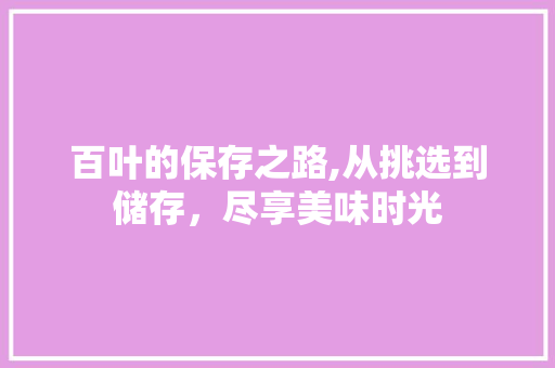 百叶的保存之路,从挑选到储存，尽享美味时光