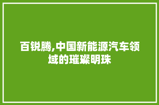 百锐腾,中国新能源汽车领域的璀璨明珠 服务器/数据库