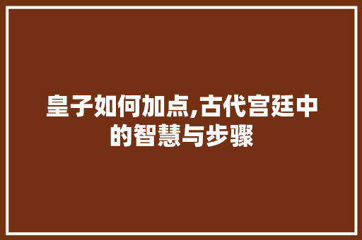 皇子如何加点,古代宫廷中的智慧与步骤