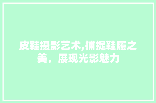 皮鞋摄影艺术,捕捉鞋履之美，展现光影魅力