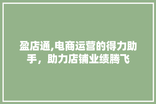盈店通,电商运营的得力助手，助力店铺业绩腾飞 WordPress教程