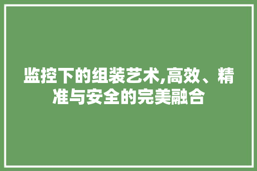 监控下的组装艺术,高效、精准与安全的完美融合