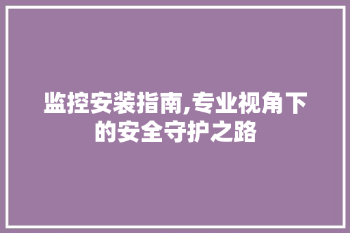 监控安装指南,专业视角下的安全守护之路