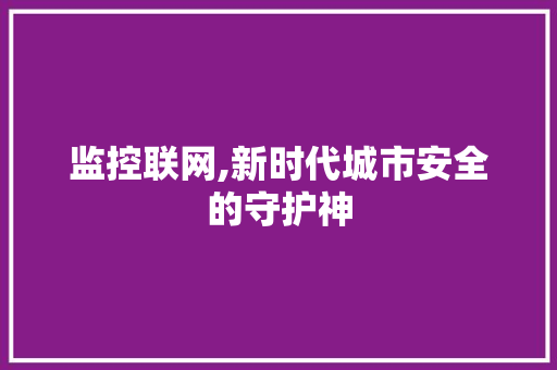 监控联网,新时代城市安全的守护神