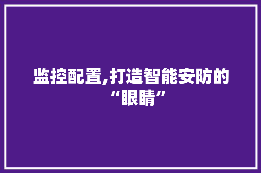 监控配置,打造智能安防的“眼睛”