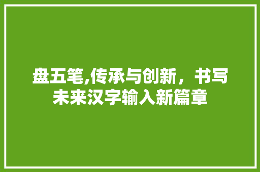 盘五笔,传承与创新，书写未来汉字输入新篇章