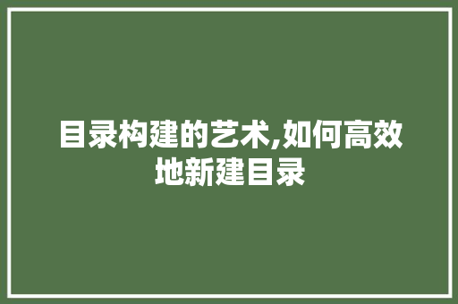 目录构建的艺术,如何高效地新建目录