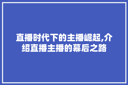 直播时代下的主播崛起,介绍直播主播的幕后之路