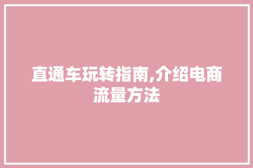 直通车玩转指南,介绍电商流量方法 Web前端
