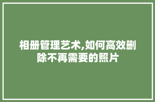 相册管理艺术,如何高效删除不再需要的照片