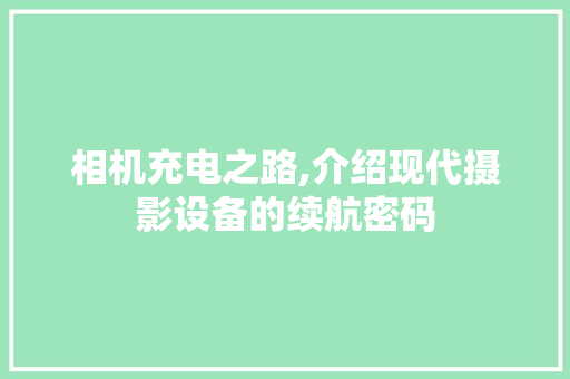 相机充电之路,介绍现代摄影设备的续航密码