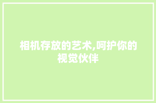 相机存放的艺术,呵护你的视觉伙伴