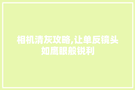 相机清灰攻略,让单反镜头如鹰眼般锐利
