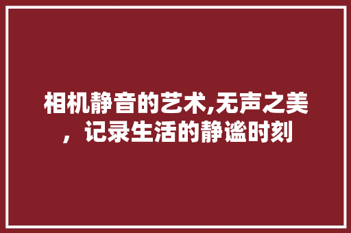 相机静音的艺术,无声之美，记录生活的静谧时刻 友链在线