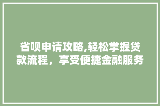 省呗申请攻略,轻松掌握贷款流程，享受便捷金融服务
