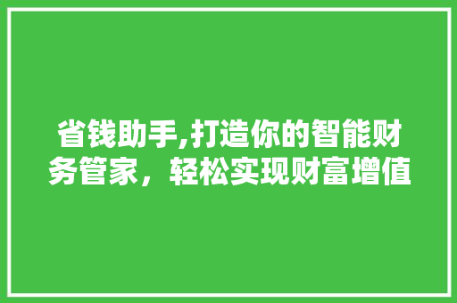 省钱助手,打造你的智能财务管家，轻松实现财富增值