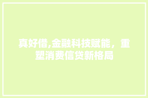 真好借,金融科技赋能，重塑消费信贷新格局