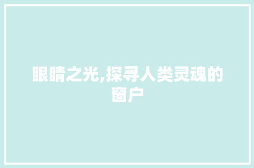 眼睛之光,探寻人类灵魂的窗户 WordPress教程