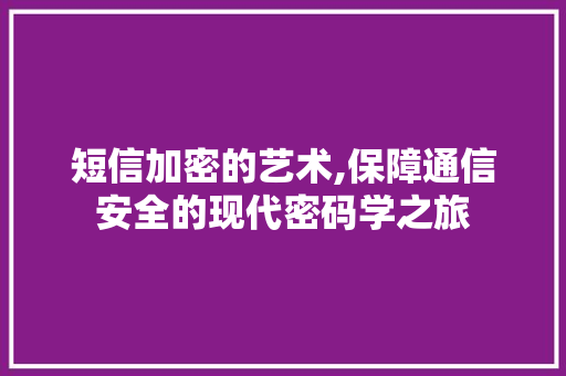 短信加密的艺术,保障通信安全的现代密码学之旅 Web前端