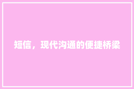 短信，现代沟通的便捷桥梁