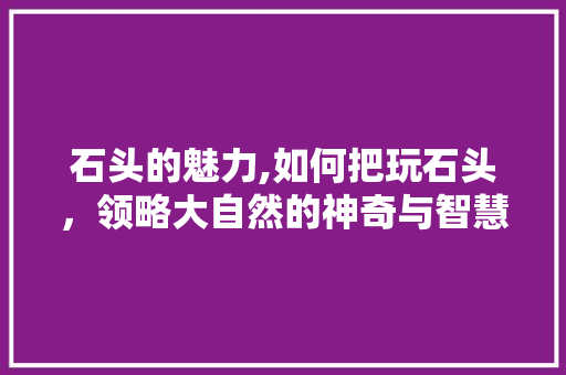 石头的魅力,如何把玩石头，领略大自然的神奇与智慧