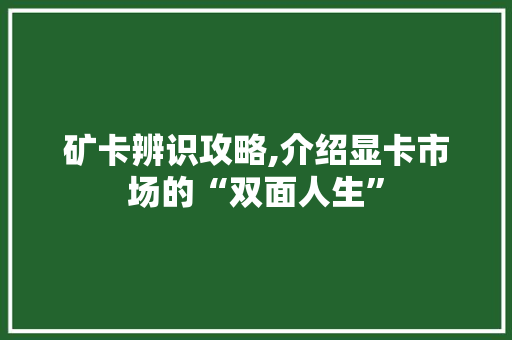 矿卡辨识攻略,介绍显卡市场的“双面人生”