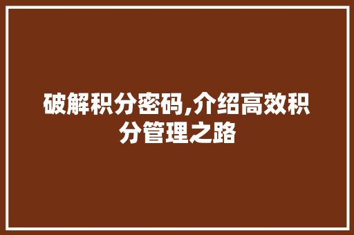 破解积分密码,介绍高效积分管理之路