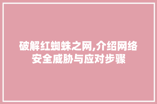 破解红蜘蛛之网,介绍网络安全威胁与应对步骤