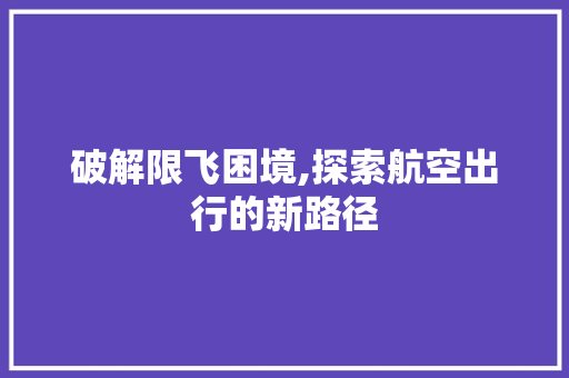 破解限飞困境,探索航空出行的新路径