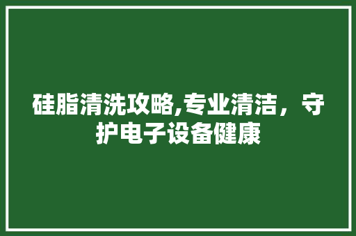 硅脂清洗攻略,专业清洁，守护电子设备健康