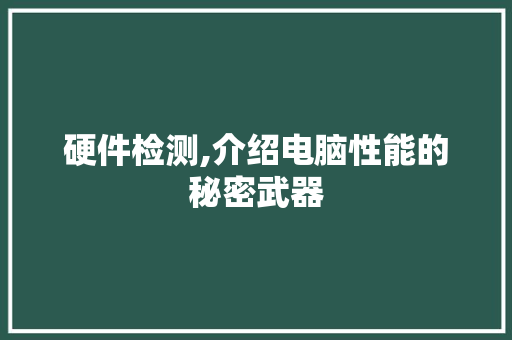硬件检测,介绍电脑性能的秘密武器 建站教程