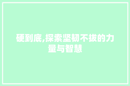 硬到底,探索坚韧不拔的力量与智慧