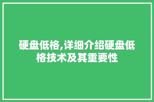 硬盘低格,详细介绍硬盘低格技术及其重要性 WordPress教程