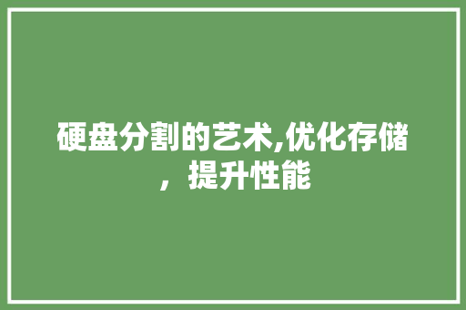 硬盘分割的艺术,优化存储，提升性能