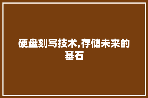 硬盘刻写技术,存储未来的基石 服务器/数据库