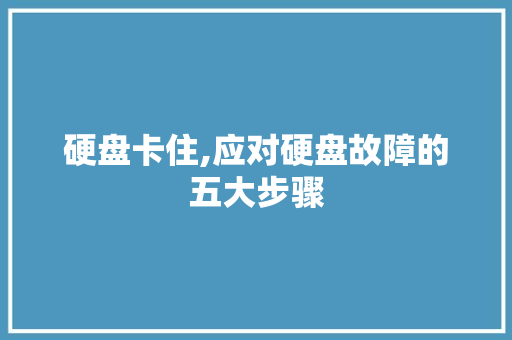 硬盘卡住,应对硬盘故障的五大步骤
